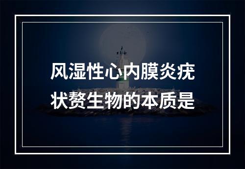 风湿性心内膜炎疣状赘生物的本质是