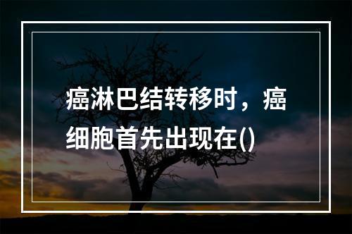 癌淋巴结转移时，癌细胞首先出现在()