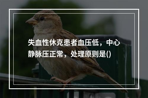 失血性休克患者血压低，中心静脉压正常，处理原则是()