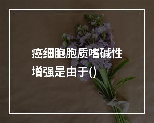 癌细胞胞质嗜碱性增强是由于()