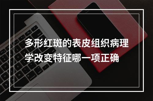 多形红斑的表皮组织病理学改变特征哪一项正确