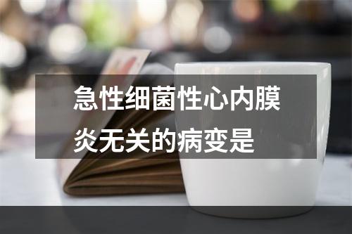 急性细菌性心内膜炎无关的病变是