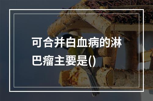 可合并白血病的淋巴瘤主要是()