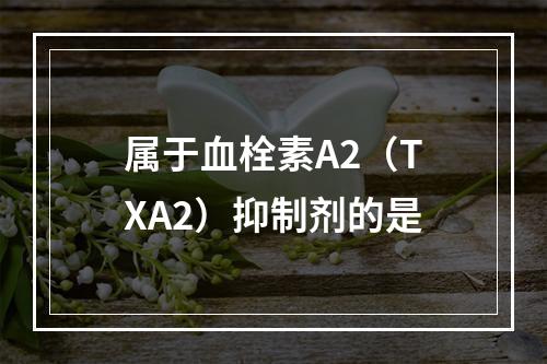 属于血栓素A2（TXA2）抑制剂的是