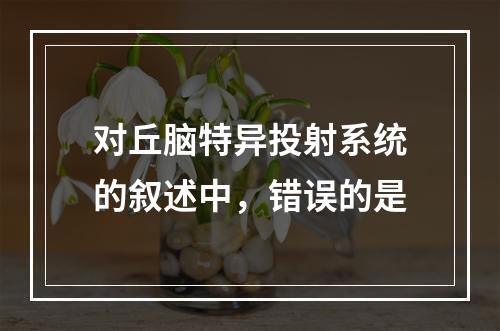 对丘脑特异投射系统的叙述中，错误的是