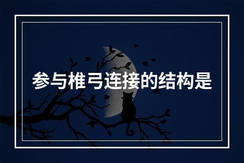 参与椎弓连接的结构是