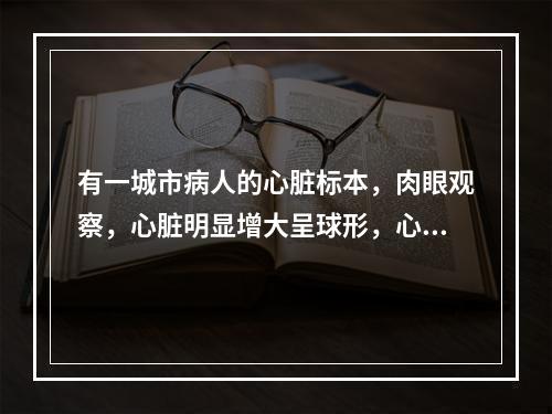 有一城市病人的心脏标本，肉眼观察，心脏明显增大呈球形，心脏扩