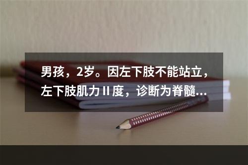 男孩，2岁。因左下肢不能站立，左下肢肌力Ⅱ度，诊断为脊髓灰质