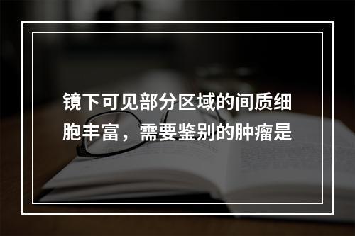 镜下可见部分区域的间质细胞丰富，需要鉴别的肿瘤是