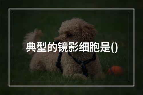 典型的镜影细胞是()