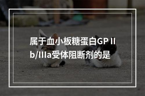 属于血小板糖蛋白GPⅡb/Ⅲa受体阻断剂的是