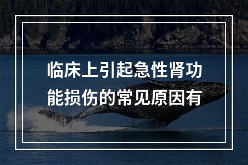 临床上引起急性肾功能损伤的常见原因有