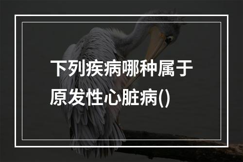 下列疾病哪种属于原发性心脏病()