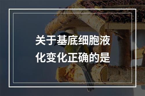 关于基底细胞液化变化正确的是