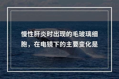 慢性肝炎时出现的毛玻璃细胞，在电镜下的主要变化是