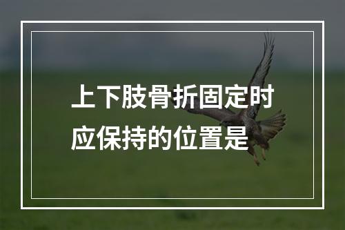 上下肢骨折固定时应保持的位置是