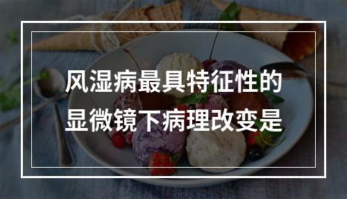 风湿病最具特征性的显微镜下病理改变是