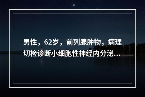 男性，62岁，前列腺肿物，病理切检诊断小细胞性神经内分泌癌。