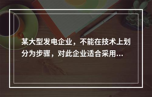 某大型发电企业，不能在技术上划分为步骤，对此企业适合采用的成