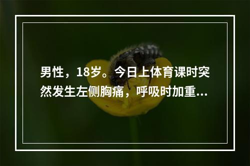 男性，18岁。今日上体育课时突然发生左侧胸痛，呼吸时加重并伴