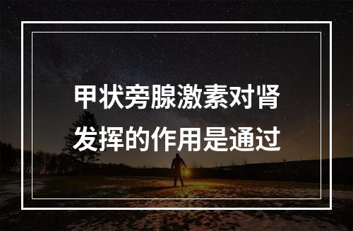 甲状旁腺激素对肾发挥的作用是通过