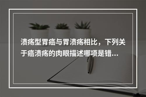 溃疡型胃癌与胃溃疡相比，下列关于癌溃疡的肉眼描述哪项是错的(