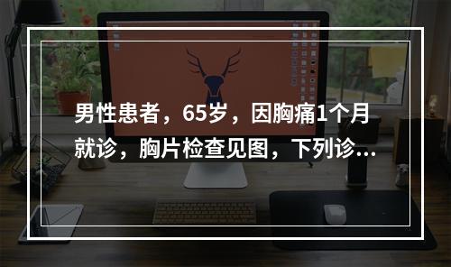 男性患者，65岁，因胸痛1个月就诊，胸片检查见图，下列诊断中