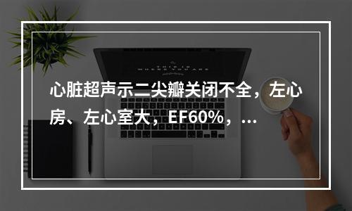 心脏超声示二尖瓣关闭不全，左心房、左心室大，EF60%，并伴