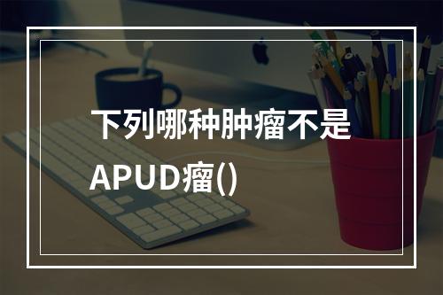 下列哪种肿瘤不是APUD瘤()