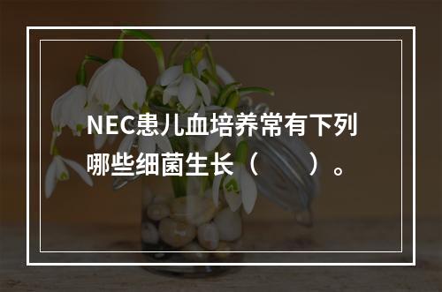 NEC患儿血培养常有下列哪些细菌生长（　　）。