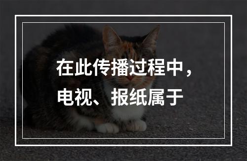 在此传播过程中，电视、报纸属于