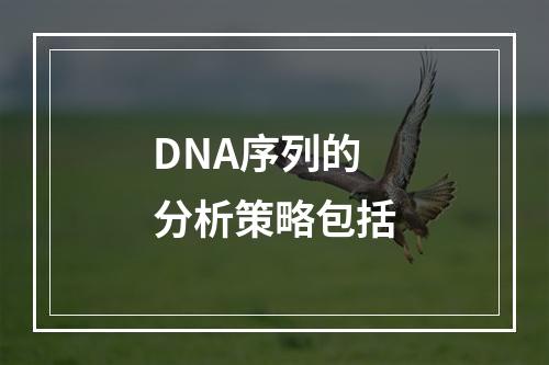 DNA序列的分析策略包括