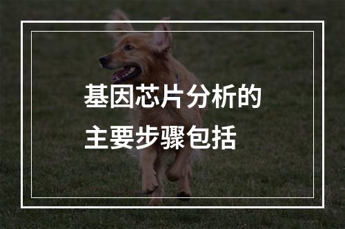 基因芯片分析的主要步骤包括