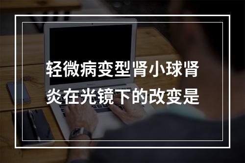 轻微病变型肾小球肾炎在光镜下的改变是