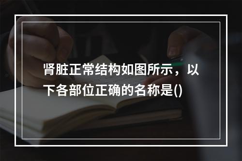 肾脏正常结构如图所示，以下各部位正确的名称是()