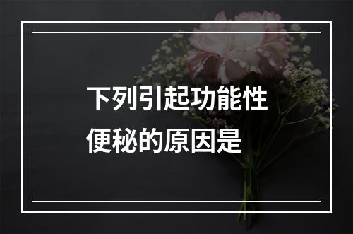 下列引起功能性便秘的原因是