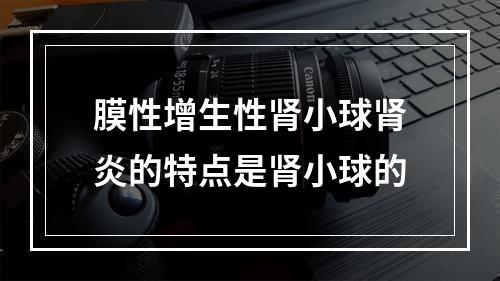 膜性增生性肾小球肾炎的特点是肾小球的