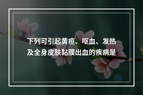 下列可引起黄疸、呕血、发热及全身皮肤黏膜出血的疾病是