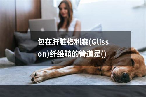 包在肝脏格利森(Glisson)纤维鞘的管道是()