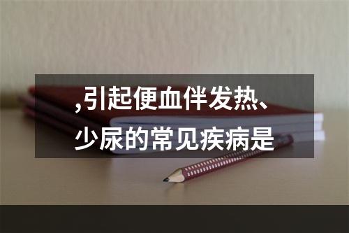 ,引起便血伴发热、少尿的常见疾病是