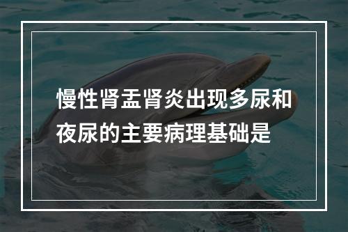 慢性肾盂肾炎出现多尿和夜尿的主要病理基础是