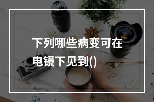 下列哪些病变可在电镜下见到()