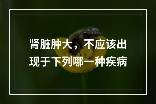 肾脏肿大，不应该出现于下列哪一种疾病