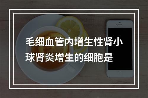 毛细血管内增生性肾小球肾炎增生的细胞是