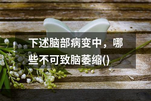 下述脑部病变中，哪些不可致脑萎缩()