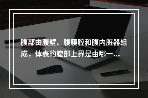 腹部由腹壁、腹膜腔和腹内脏器组成，体表的腹部上界是由哪一标志