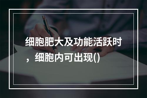 细胞肥大及功能活跃时，细胞内可出现()