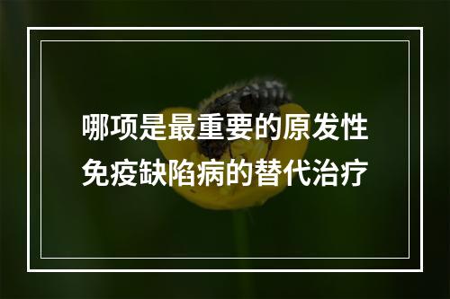 哪项是最重要的原发性免疫缺陷病的替代治疗