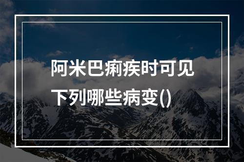 阿米巴痢疾时可见下列哪些病变()