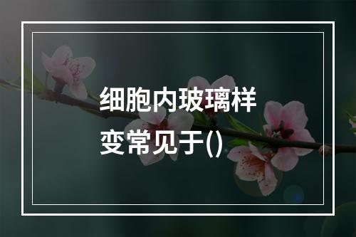 细胞内玻璃样变常见于()